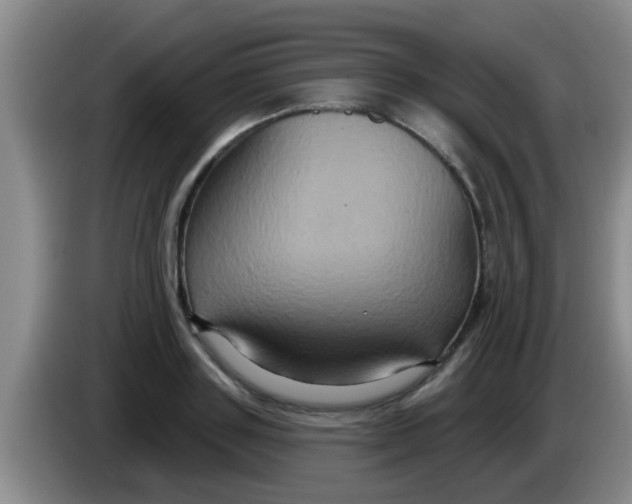 X0000084020843200703091946