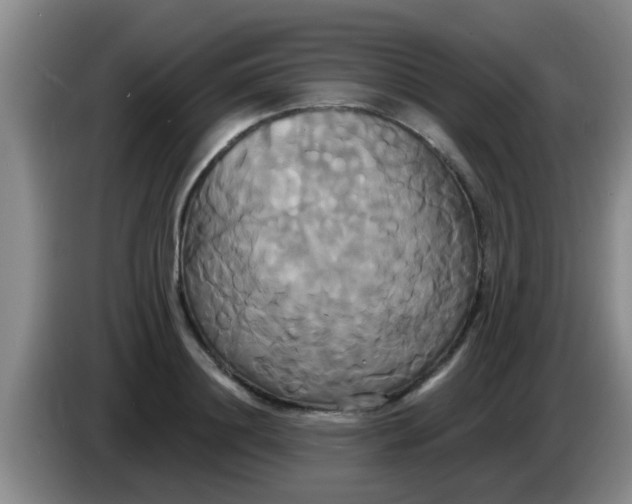 X0000084020844200703091946