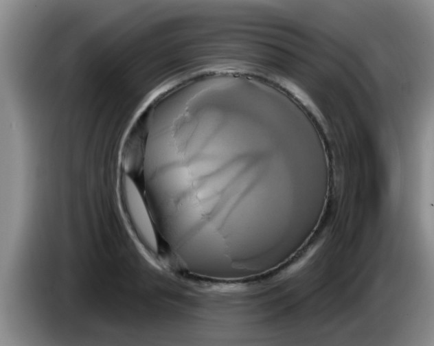 X0000084020845200703091946