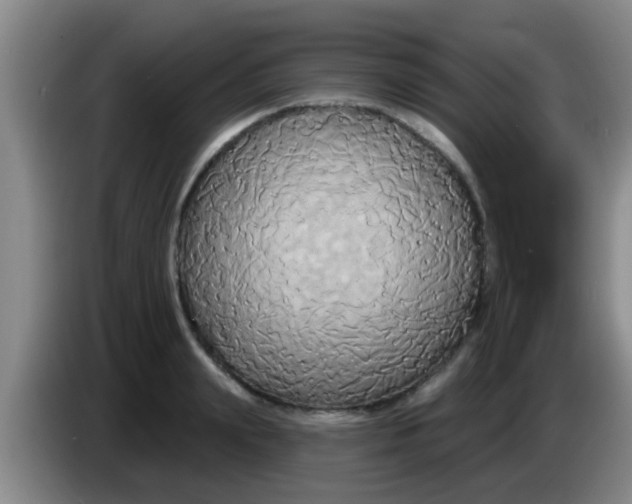 X0000084020847200703091946