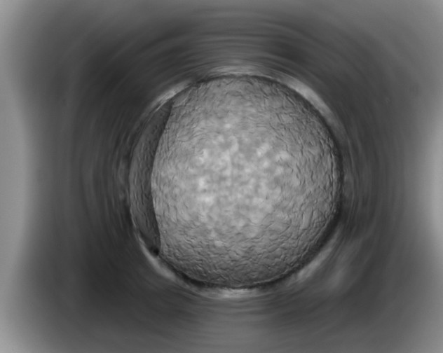 X0000084020849200703091946