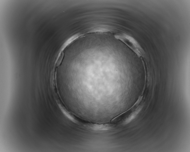 X0000084020850200703091946