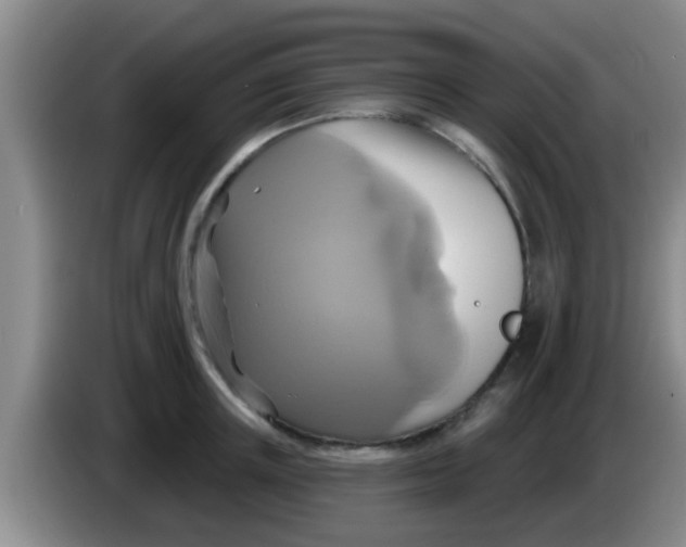 X0000084020851200703091946