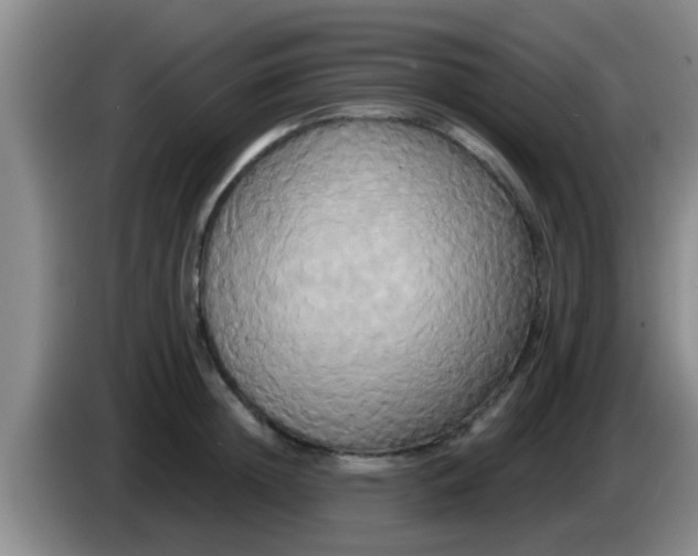 X0000084020852200703091946