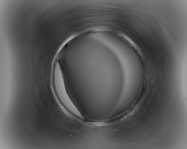 X0000084020853200703091946