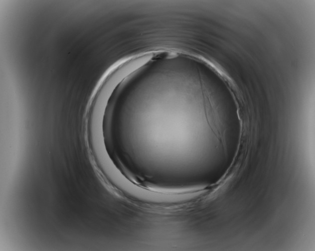 X0000084020854200703091946