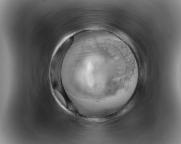 X0000084020855200703091946