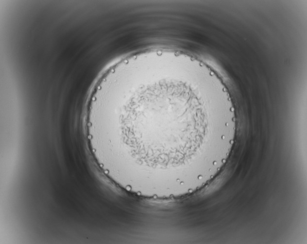 X0000084020856200703091946