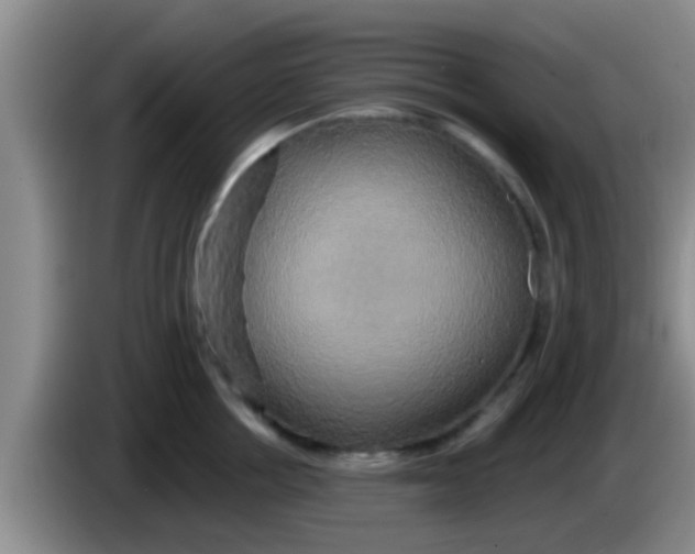 X0000084020858200703091946