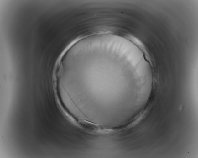 X0000084020859200703091946