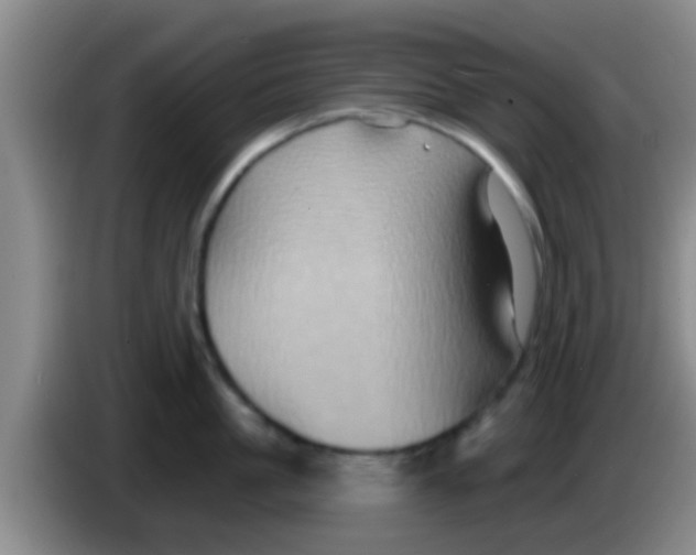 X0000084020861200703091946