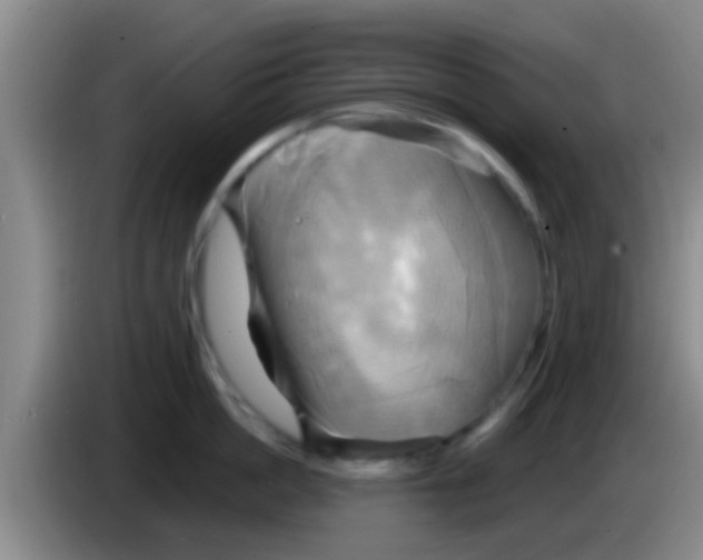 X0000084020862200703091946