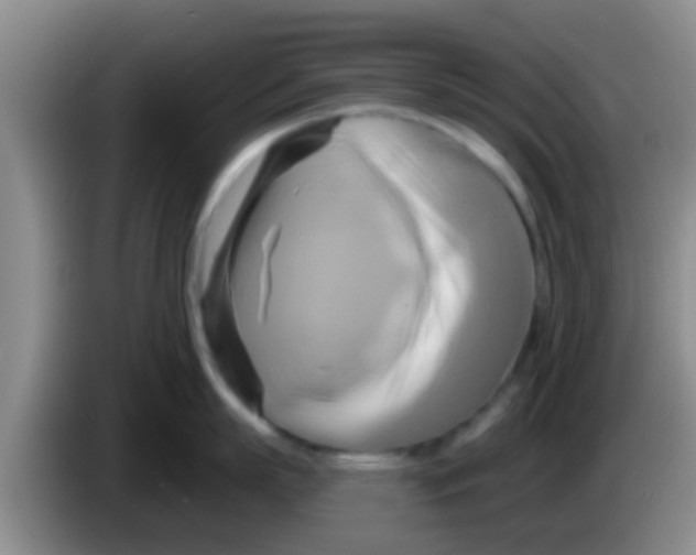 X0000084020863200703091946