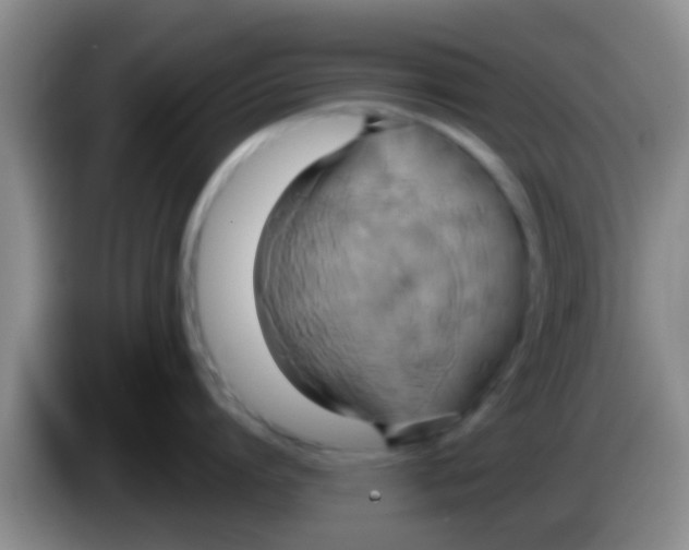 X0000084020864200703091946