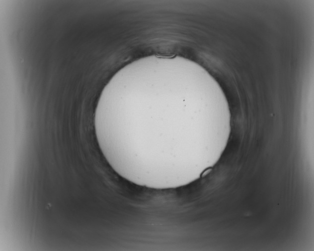 X0000084020865200703091946