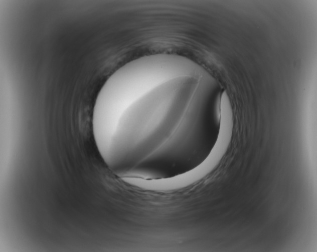 X0000084020868200703091946