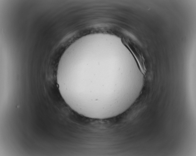 X0000084020869200703091946