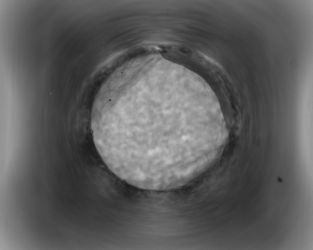 X0000084020870200703091946