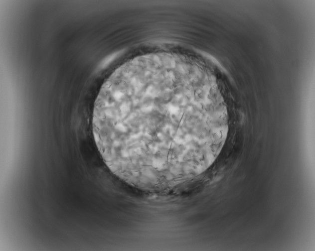 X0000084020871200703091946