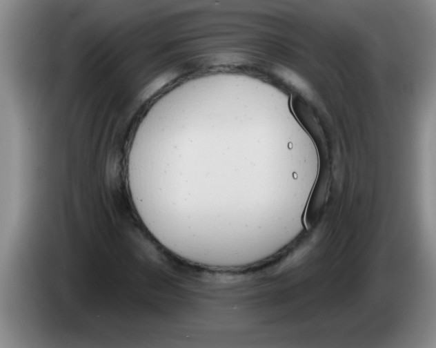 X0000084020873200703091946