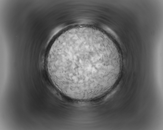 X0000084020875200703091946