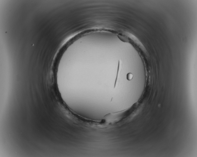 X0000084020876200703091946