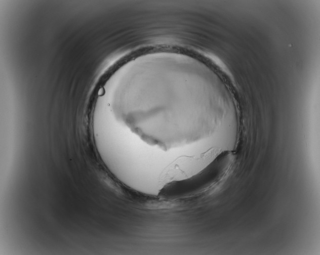 X0000084020879200703091946