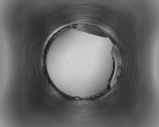 X0000084020880200703091946