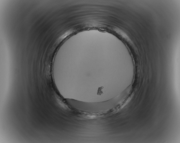 X0000084020881200703091946