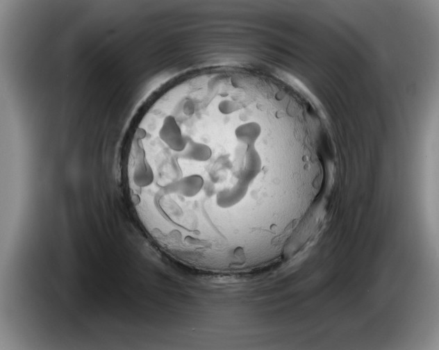 X0000084020883200703091946