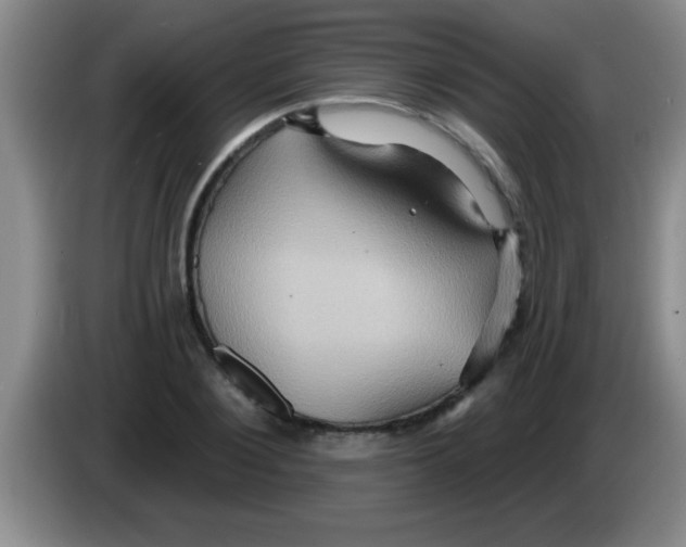 X0000084020884200703091946