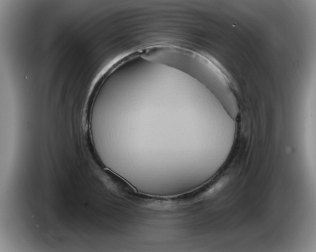 X0000084020885200703091946