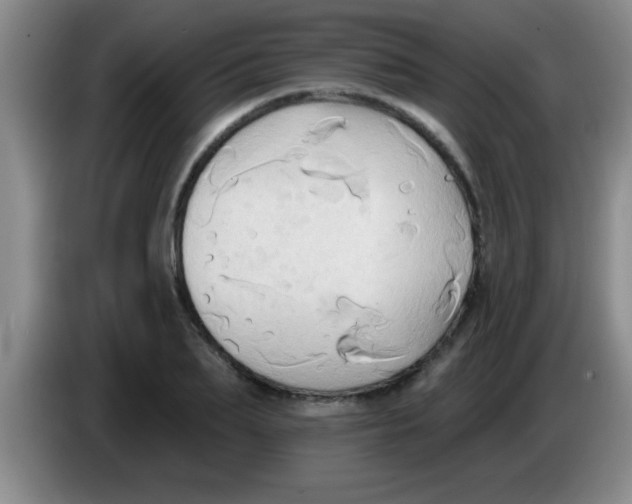 X0000084020887200703091946