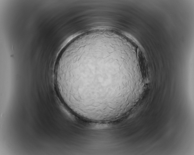 X0000084020890200703091945