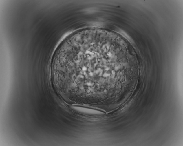 X0000084020891200703091945