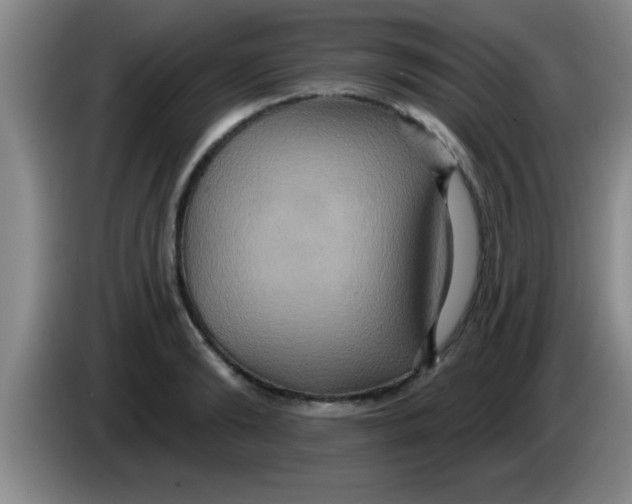 X0000084020894200703091945