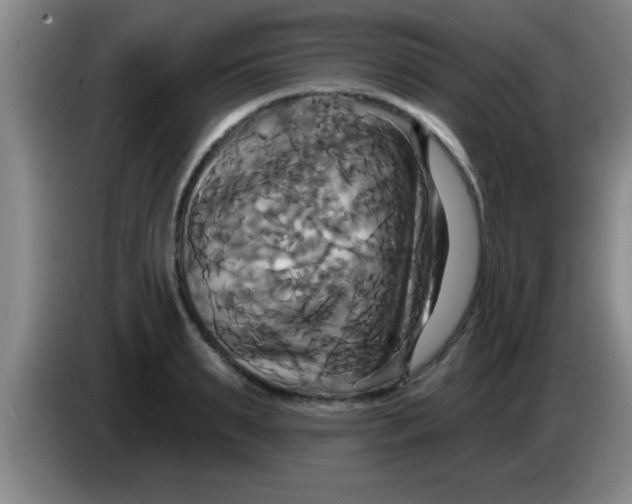 X0000084020895200703091945