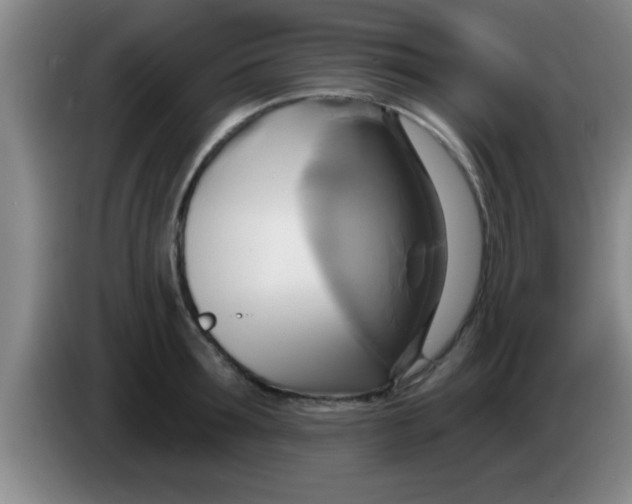 X0000084020899200703091945