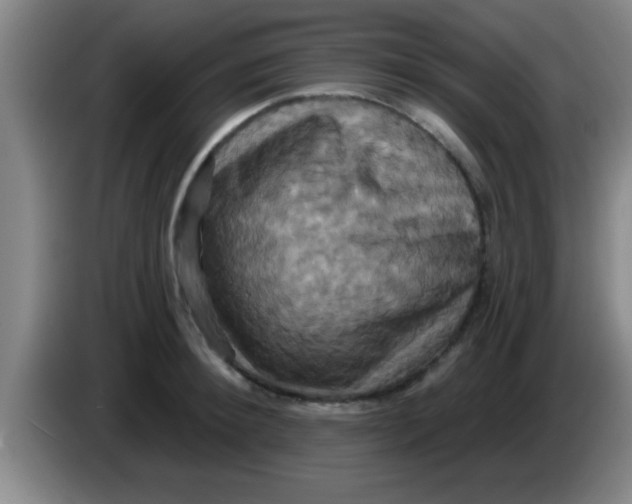 X0000084020900200703091945