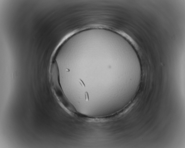 X0000084020902200703091945