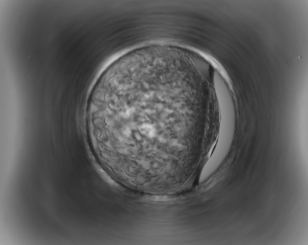 X0000084020903200703091945