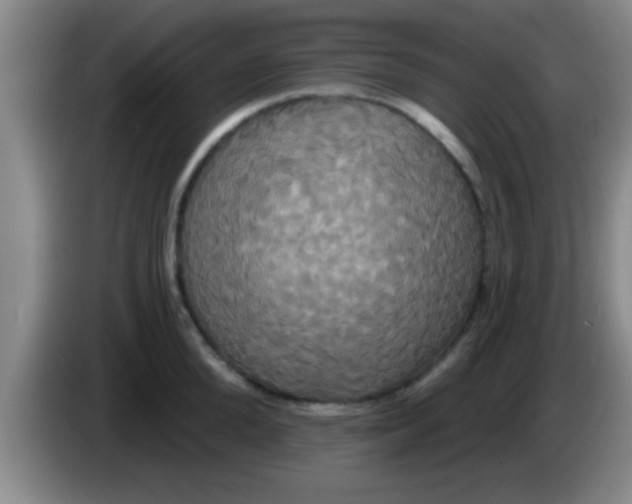 X0000084020904200703091945