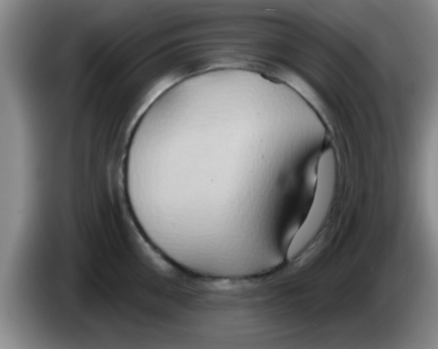 X0000084020906200703091945