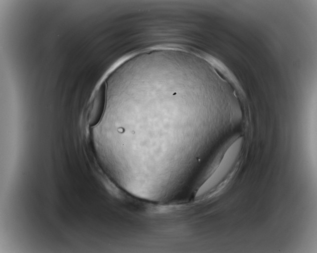 X0000084020908200703091945