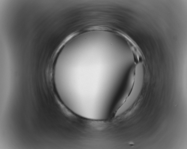 X0000084020909200703091945