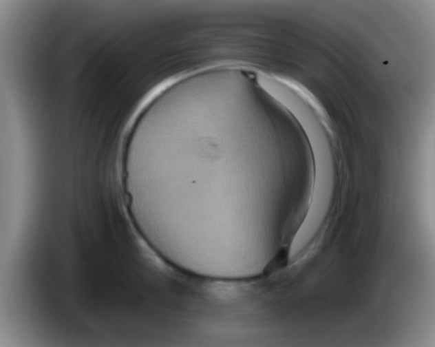 X0000084020910200703091945