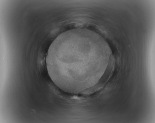 X0000084020914200703091945