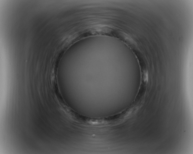 X0000084020915200703091945