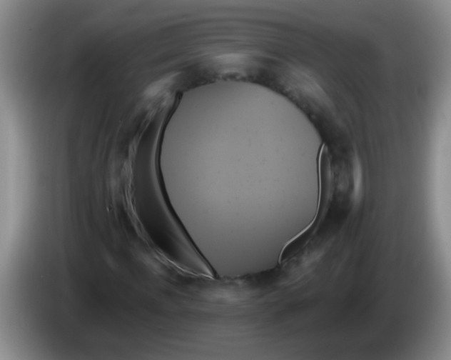 X0000084020916200703091945