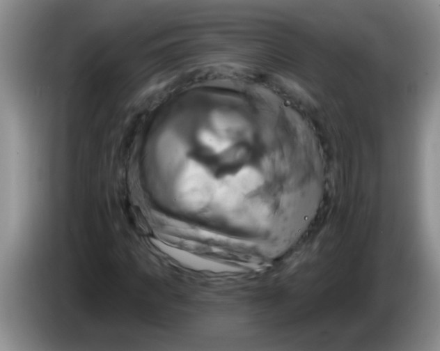 X0000084020917200703091945